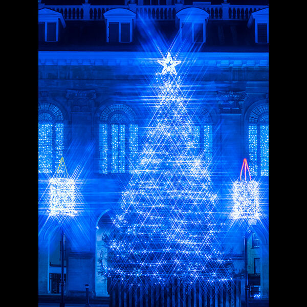 Chrtistmas card photo 2019