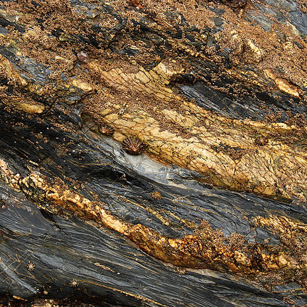 Cliff face, Cornwall 2009
