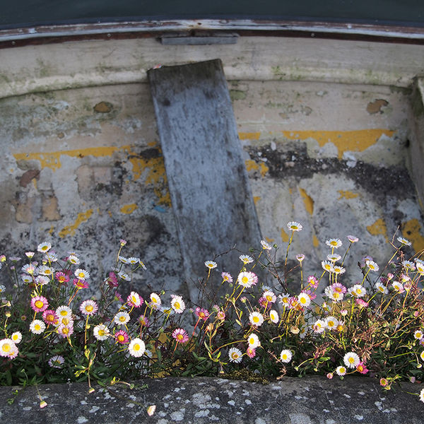 Derelict boat