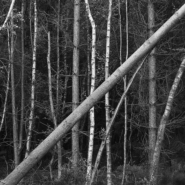 Diagonal