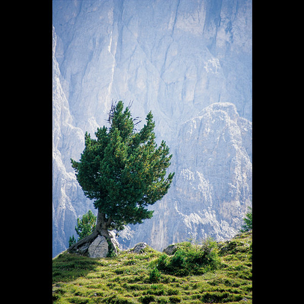 Dolomites 5