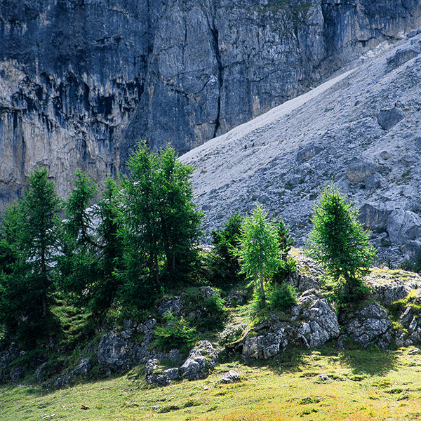 Dolomites 1