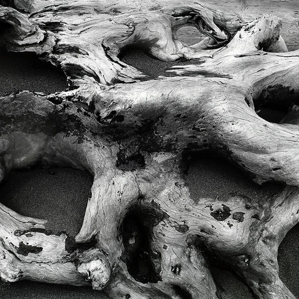Driftwood, Shi Shi Beach, Washington State, USA 1988
