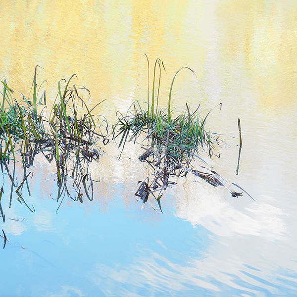 Flooded grass, Culham