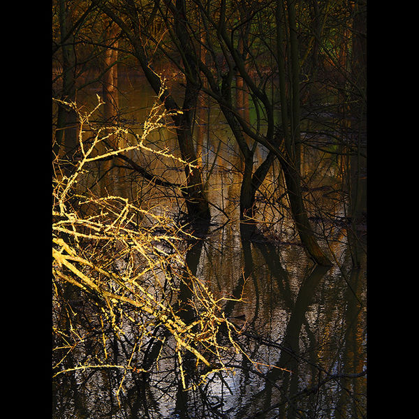 Flooding at Culham 1