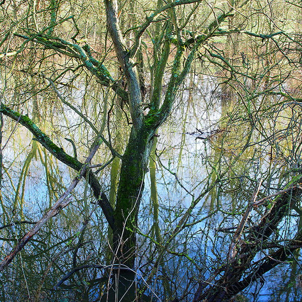 Flooding at Culham 2
