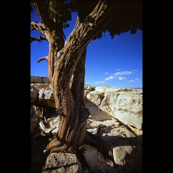 Grand Canyon, USA 2