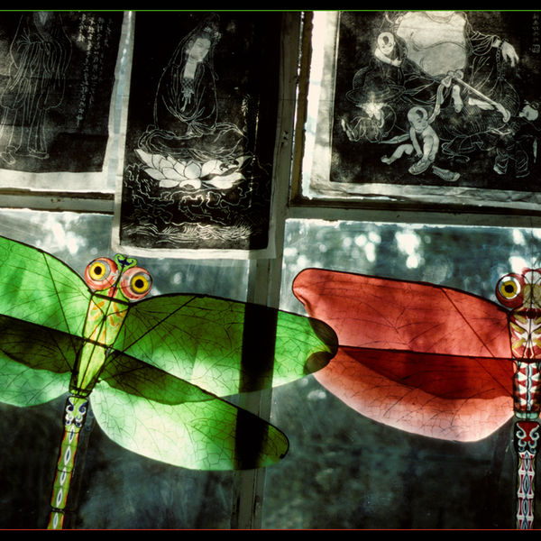 Kites in a shop window, Peking 1982