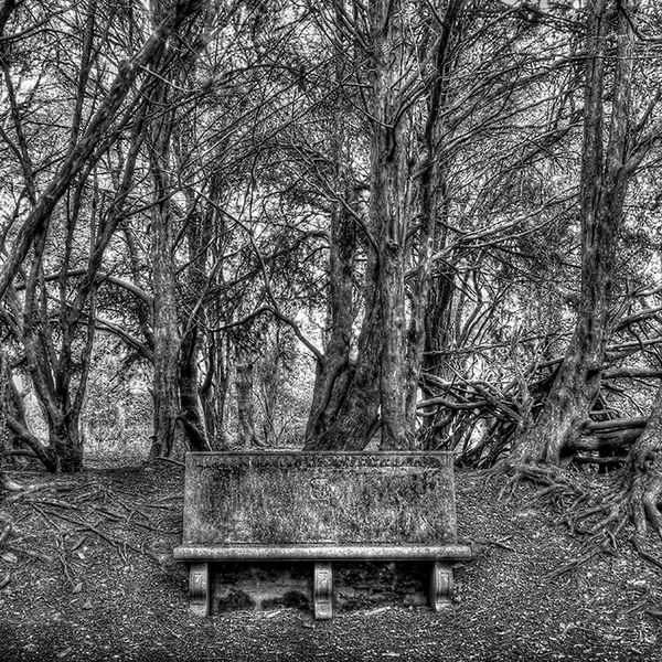 Lonely bench
