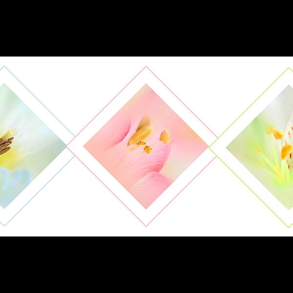 Pastels