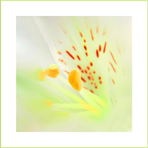 Pastels (right image)