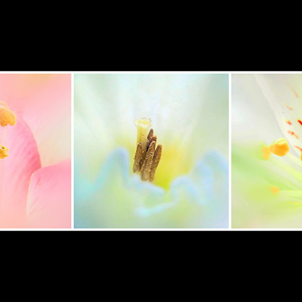 Pastels