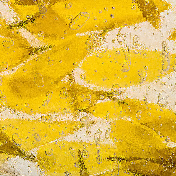 Petals trapped in the ice (1)