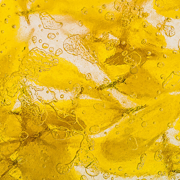 Petals trapped in the ice (2)