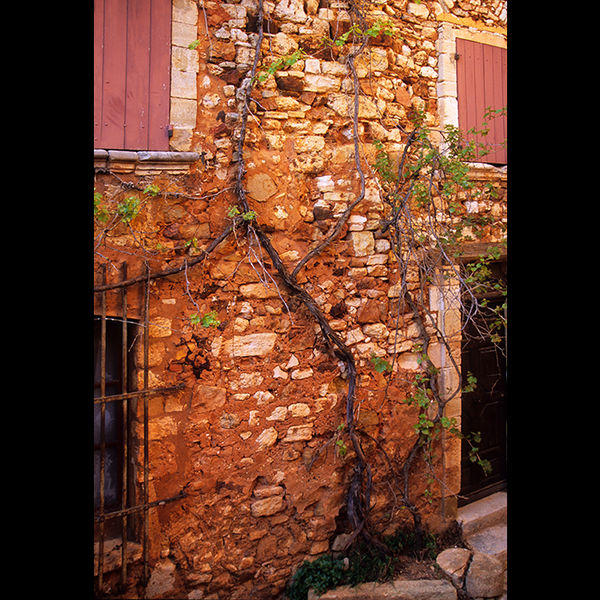 Provence 7