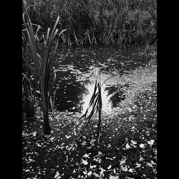 Puddle