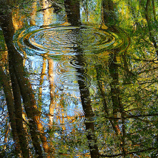 Reflections