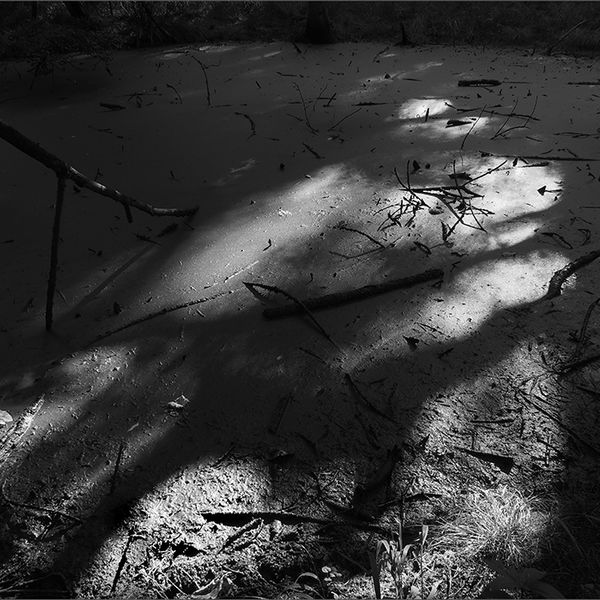 Stagnant pond