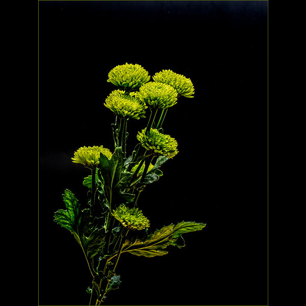 Untitled 3