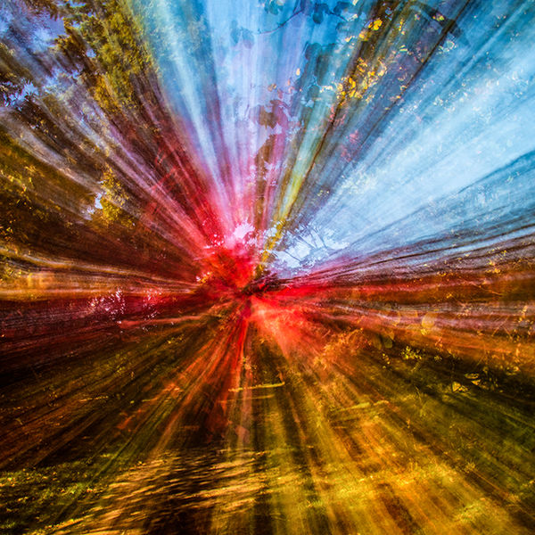 Zooming in the forest (centre image)
