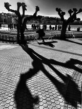 Spanish shadows.