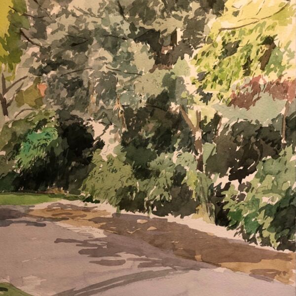 Priory park shady path