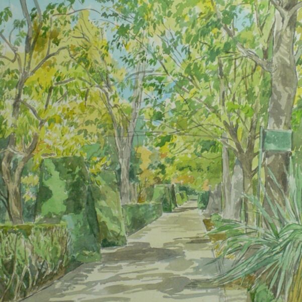 Real Jardín Botánico 2