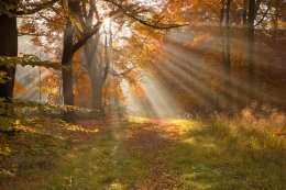 BBC Countryfile Calendar 2014