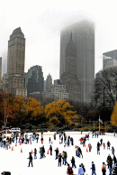 Central Park -Winter