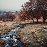 Chew Brook