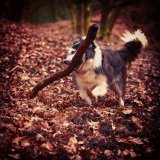 Play Time