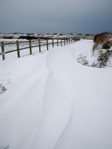 Cycle Path 03