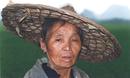 Chinese Farmer