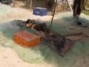 Siesta Goa