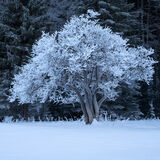 Mürzer Oberland, Styria