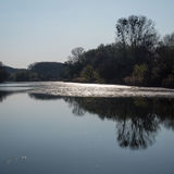 Donau Auen National Park, Lower Austria