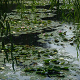 Giverny, Normandy, France