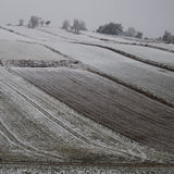 Forest Quarter, Lower Austria