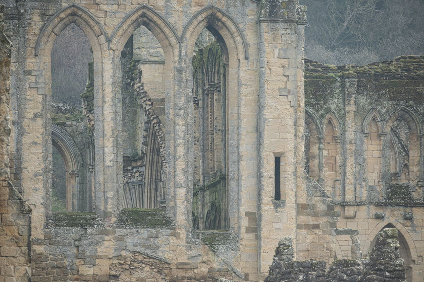 Rievaulx Abbey, Yorkshire, March 2026