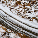 Vienna Woods, Vienna