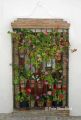 Display of flowers in a window, Jimena de la Frontera, Spain.
