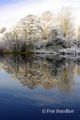 Winter reflections