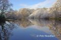 Winter reflections II