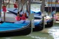 Roses and gondolas, Venice