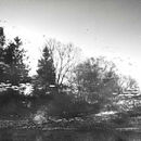 Le Jarry Reflection Pond #1