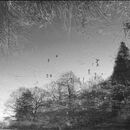 Le Jarry Refection Pond #2