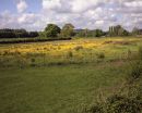 tesco Series I #3