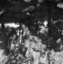 Welsh Water Series #2