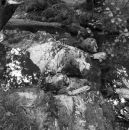 Welsh Water Series #3