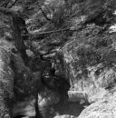 Welsh Water Series #4